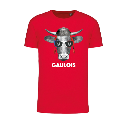 Cantal Shop |  - TEE-SHIRT ENFANT GAULOIS ROUGE