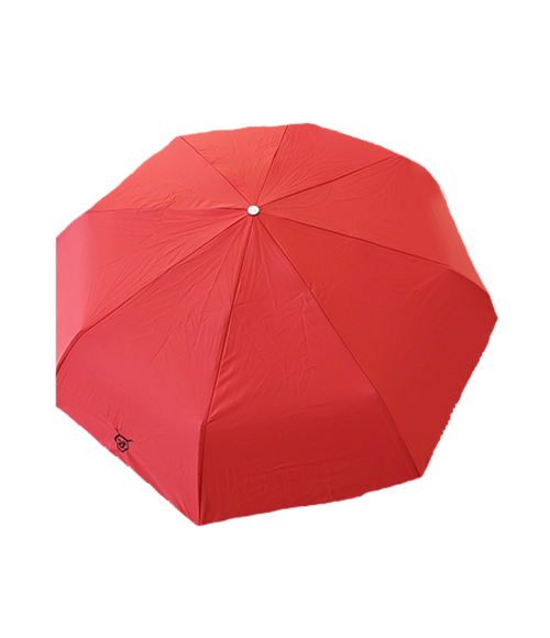 Cantal Shop | PARAPLUIE PIGANIOL SALERS 15