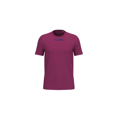 Cantal Shop | TEE SHIRT HOMME CANTAL BORDEAUX