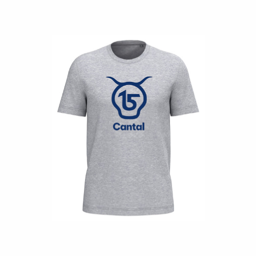 Cantal Shop | TEE SHIRT MANCHES COURTES SALERS 15 GRIS