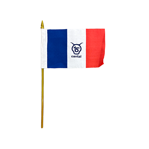 Cantal Shop |  - MINI DRAPEAU FRANCE SALERS 15