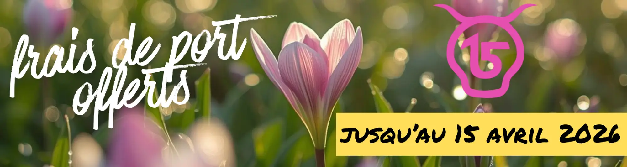 Cantal Shop | Nouvelle collection été Cantalshop