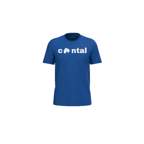 Cantal Shop | TEE SHIRT HOMME CANTAL TORSE BLEU AZUR