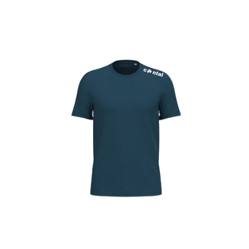Cantal Shop | TEE SHIRT HOMME COL V CANTAL CLAVICULE BLEU MARINE