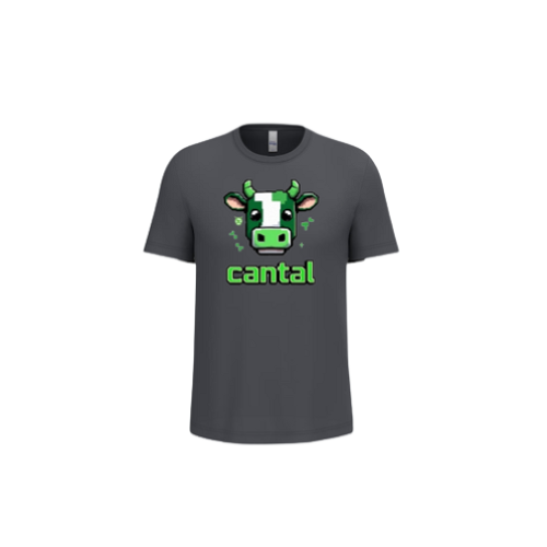 Cantal Shop | TEE SHIRT ENFANT LOGO JEUX VIDEO GRIS ANTHRACITE