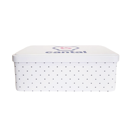 Cantal Shop | BOÎTE À SUCRE SALERS 15