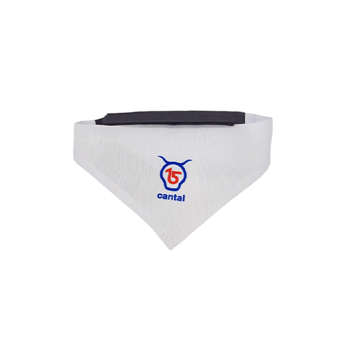 Cantal Shop | BANDANA POUR CHIEN SALERS 15
