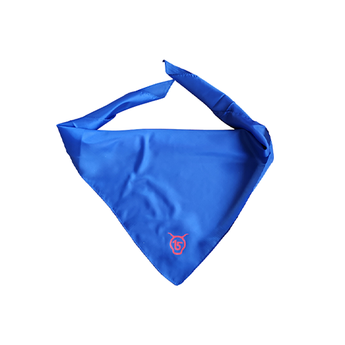 Cantal Shop |  - TOUR DE COU BLEU 
